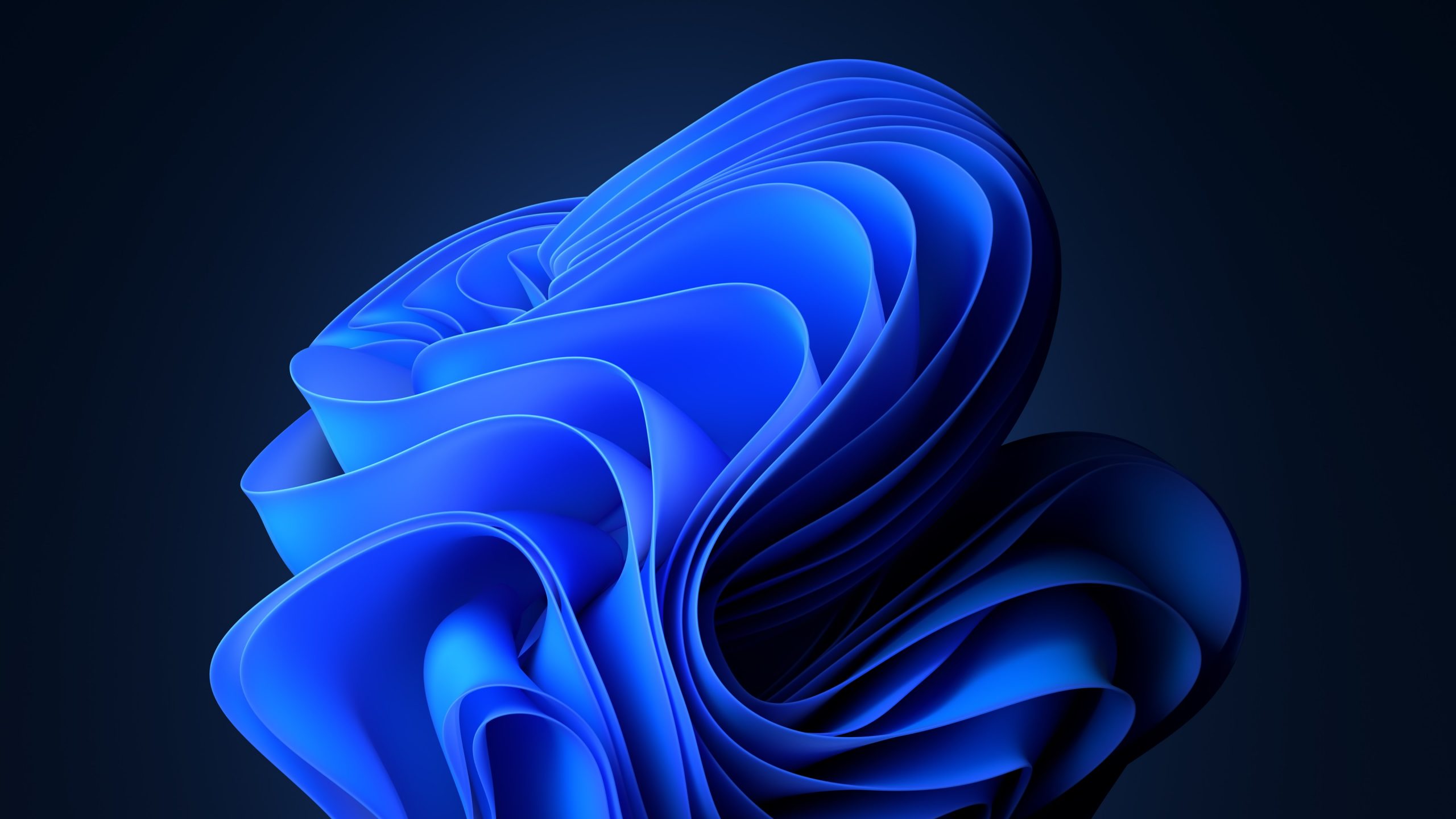 Background image from Windows 11